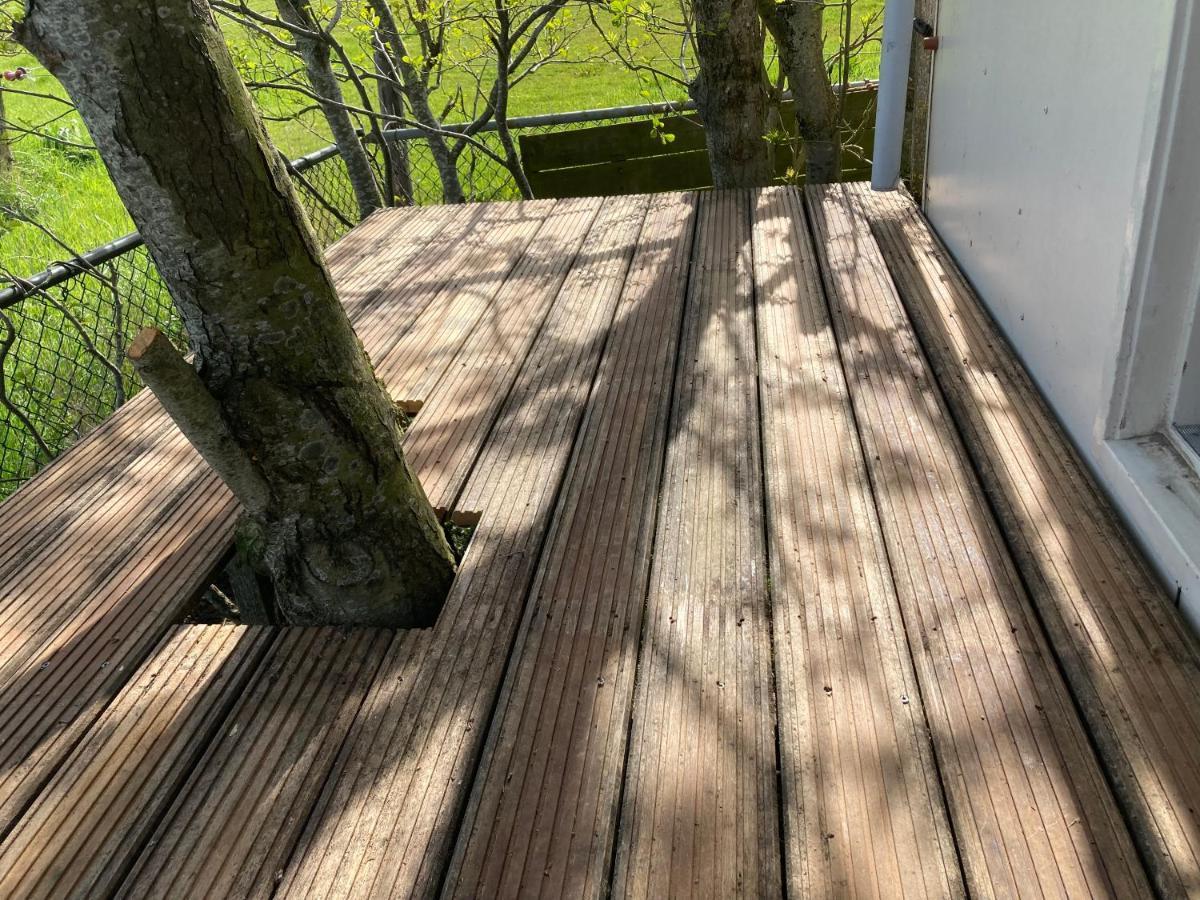 Het Oude Strandhuis Uitgeest Luaran gambar
