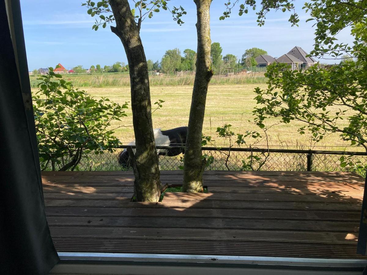 Het Oude Strandhuis Uitgeest Luaran gambar